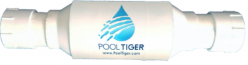 pool tiger